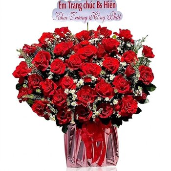 Chậu Hoa Hồng Đỏ Rực Rỡ Lãng Mạn