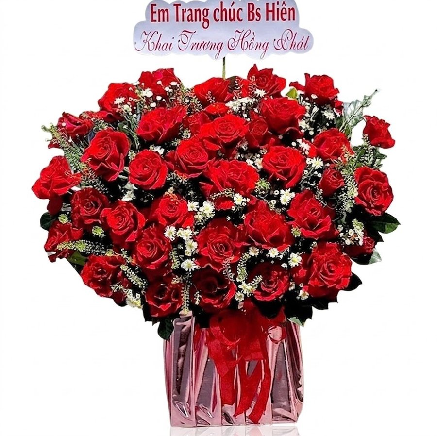 Chậu Hoa Hồng Đỏ Rực Rỡ Lãng Mạn