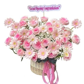 Giỏ Hoa Đồng Tiền Mix Hoa Hồng Đại Lợi
